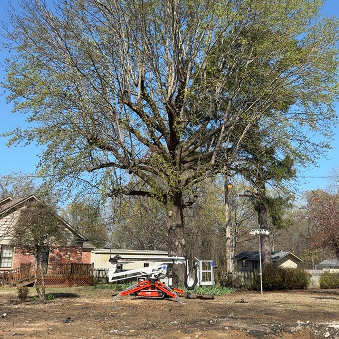 Robinson Tree Service LLC Arborist Services