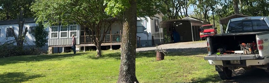 Tree Health Services