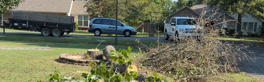 Tree Pruning Services